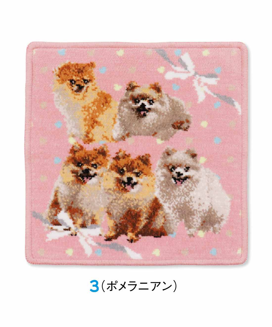 うちの子いちばんかわいい！ cococi wanko（ココチ ワンコ