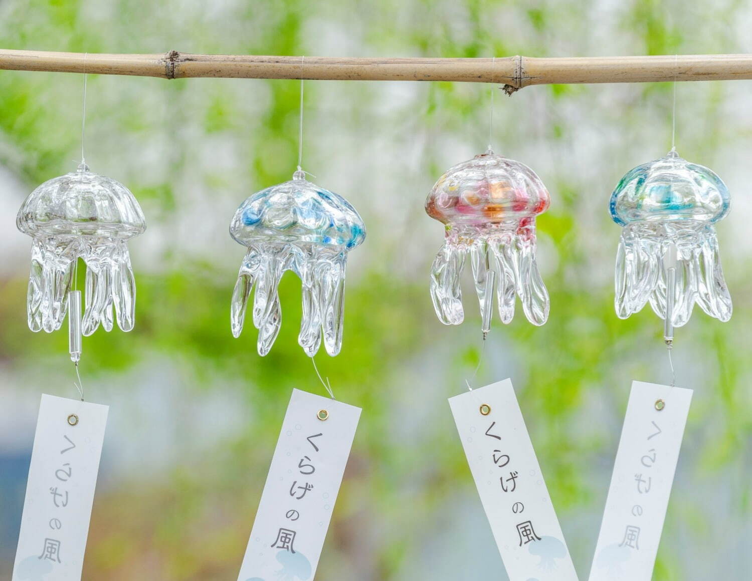 ガラスの「クラゲ風鈴」揺らめく夏イベントが京都水族館で、京和傘の