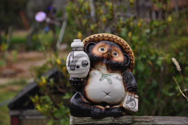 たぬきの置物の意味と効果を解説！信楽焼が縁起物として愛される理由と