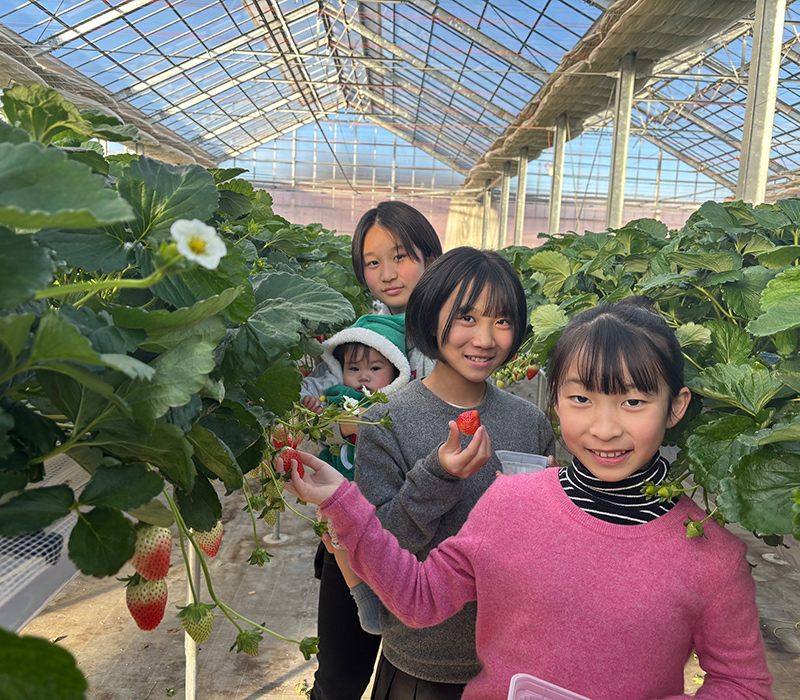 Fraise（毛呂山町）｜ここでしか出会えない「緋色の実」と人気いちご3種
