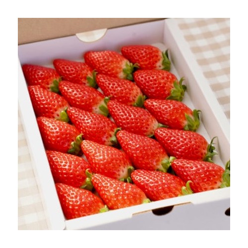 Inakakara - Farm to Table - 山梨県産 窪田さんの完熟いちご くだもの