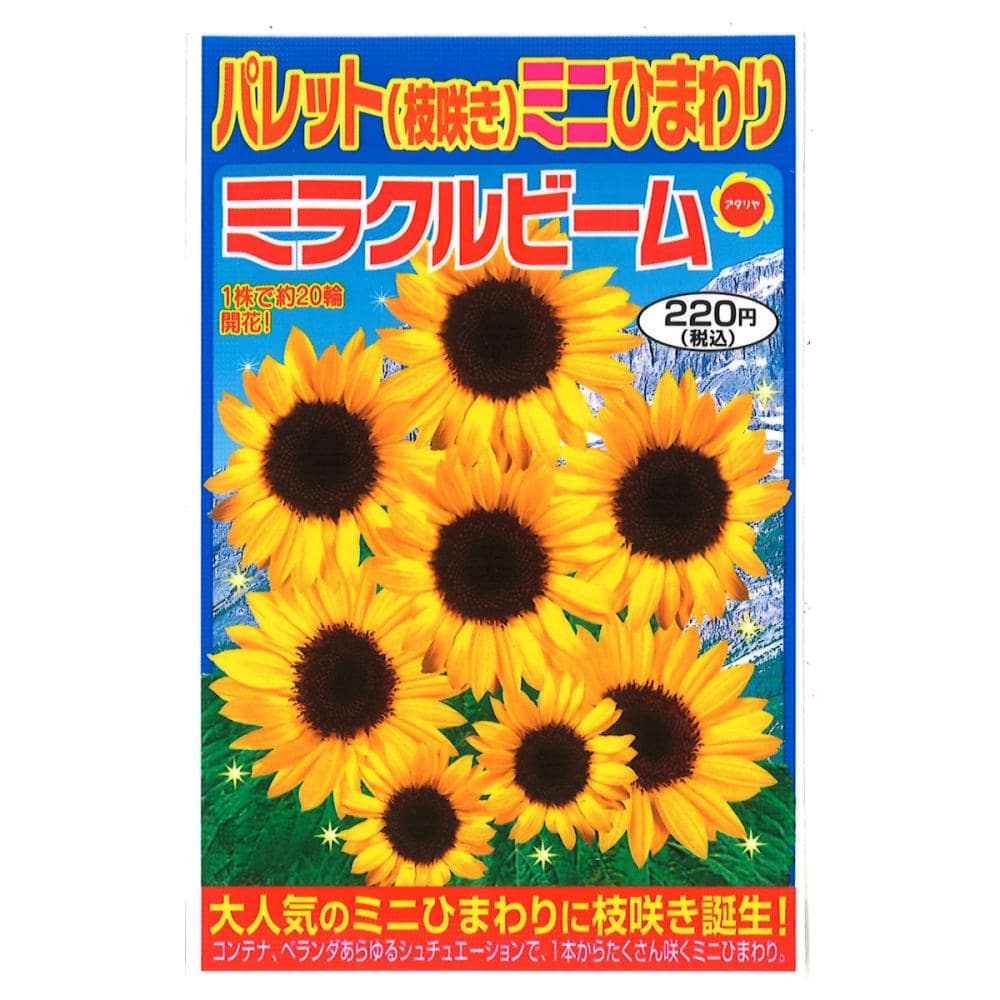 ヒマワリ種子 パレットミニひまわり ミラクルビーム の通販