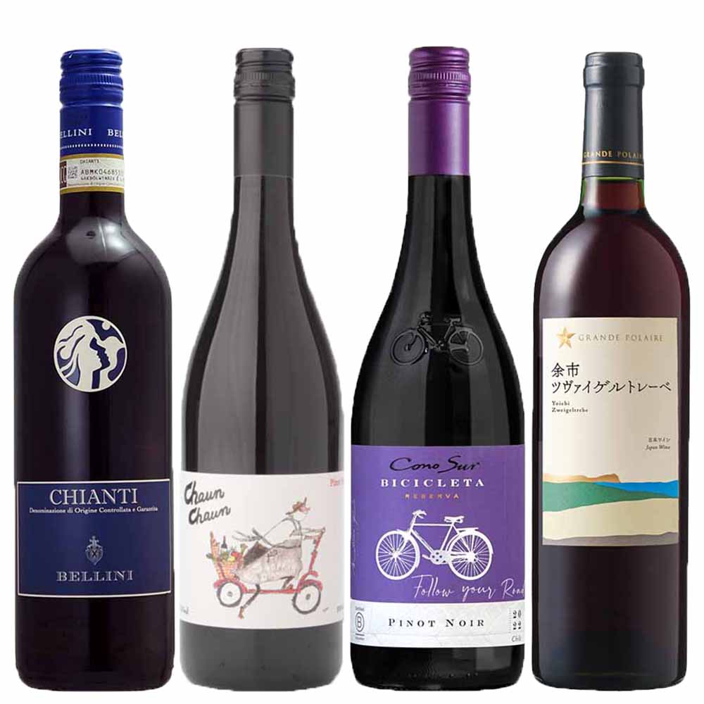 セット〕そんなに渋くない赤ワイン4本セット 750ml×4本｜格安・安いお