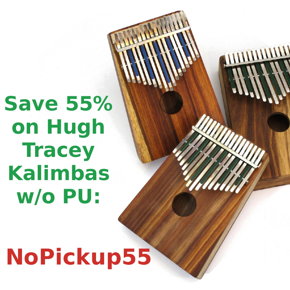 Save 55% on These Hugh Tracey Kalimbas w/o Pickup - Blog, Item