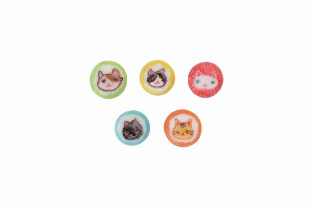 株式会社 金太郎飴本店 / にゃんこ飴400g