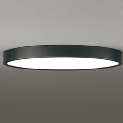 BOUQUET CEILING LIGHT ブーケ シーリングライト GEM-6895」照明