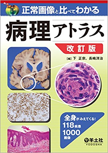 腹部超音波テキスト〜上・下腹部〜 改訂第三版 買取価格｜古本買取店