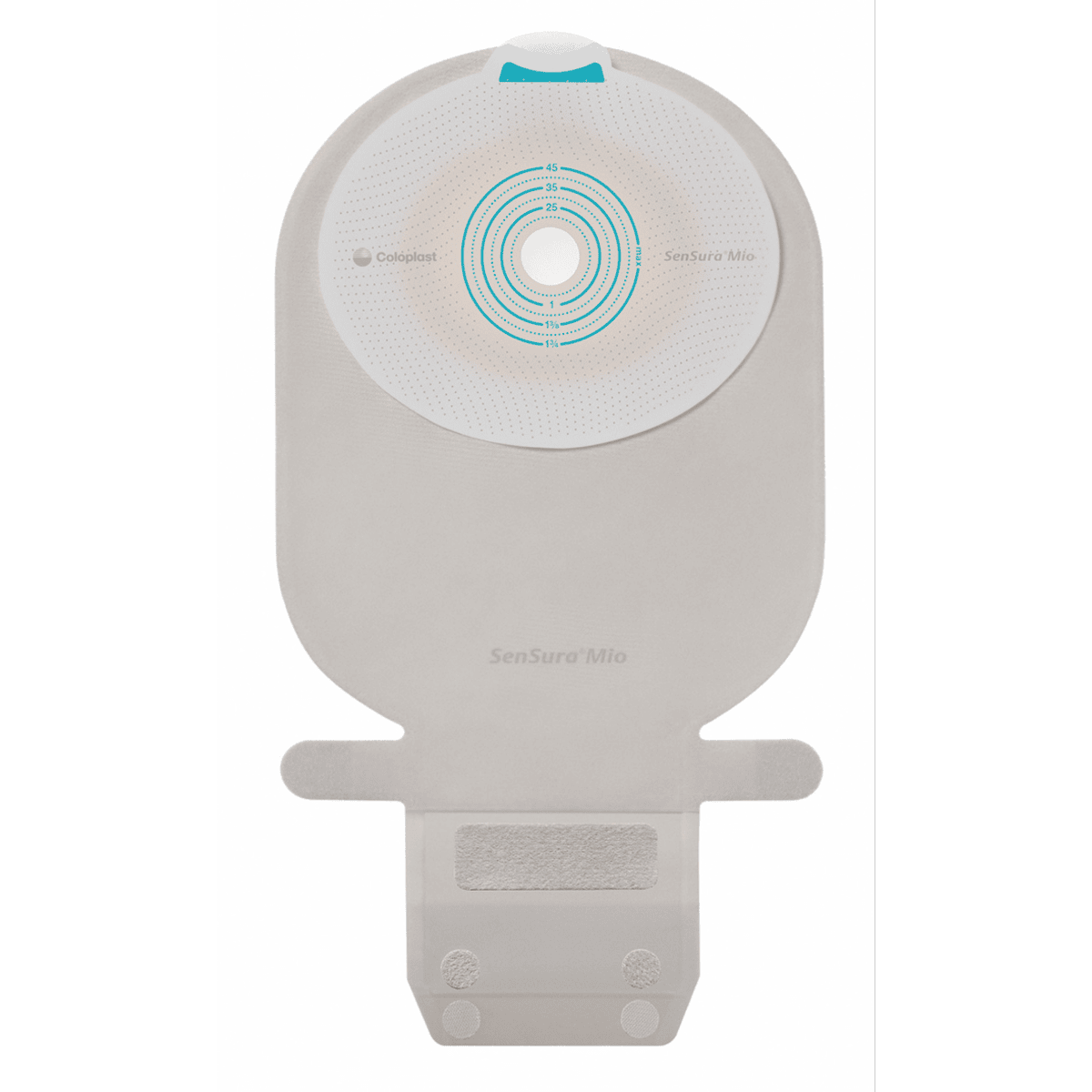 センシュラ ミオ1 10枚入(10481 フリーカット10-55mm 透明): 通常