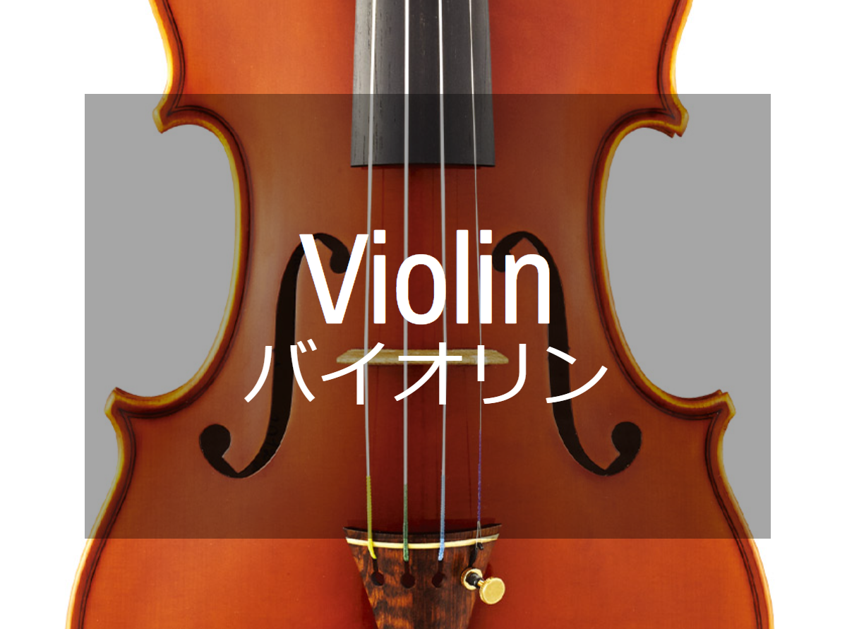 Karl Muller No.6 (German) | 【クロサワ楽器店オンラインショップ