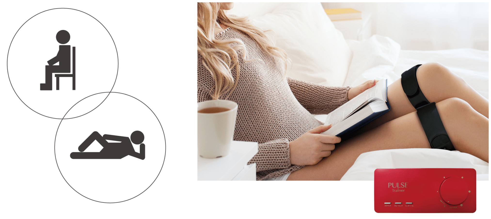 パルストレーナー｜モアトレ - HOMER ION