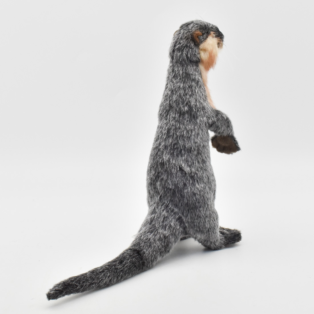 カワウソ 27 | HANSA