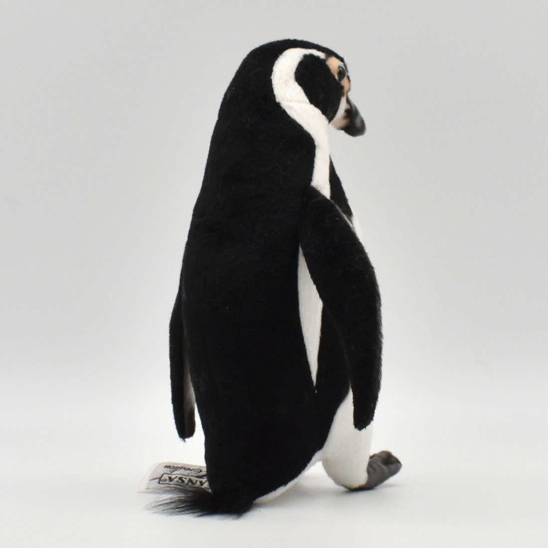 フンボルトペンギン 23 | HANSA