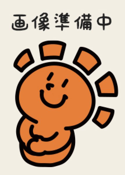 晴れる屋2ネット買取】ピカチュウ(PROMO){雷}〈003/SM-P〉[SM-P]