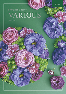 カタログギフトのハーモニック ヴァリアス ボストン