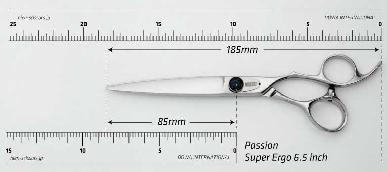PASSION スーパーエルゴ 立体ハンドル シザー｜美容ハサミなら飛燕
