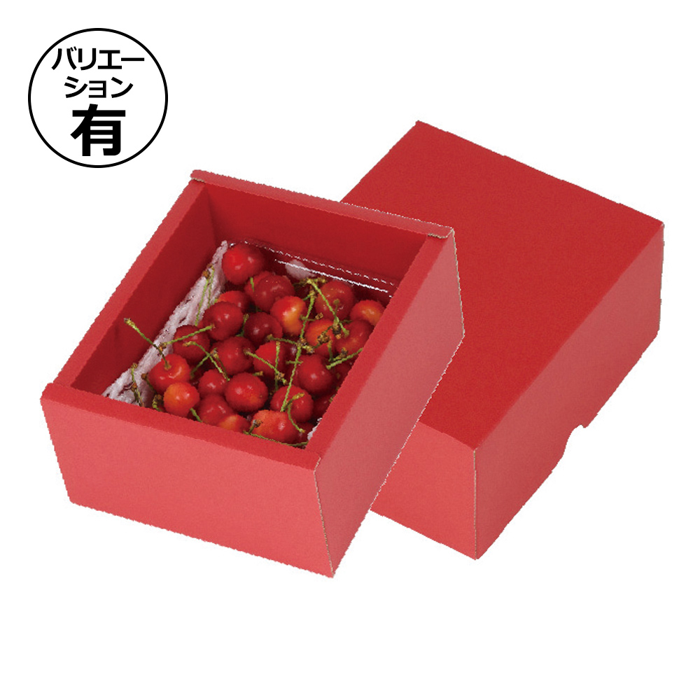 Pё】 500ml詰め合わせジュース12本＊2箱 【2箱縛りでの発送】 Pё