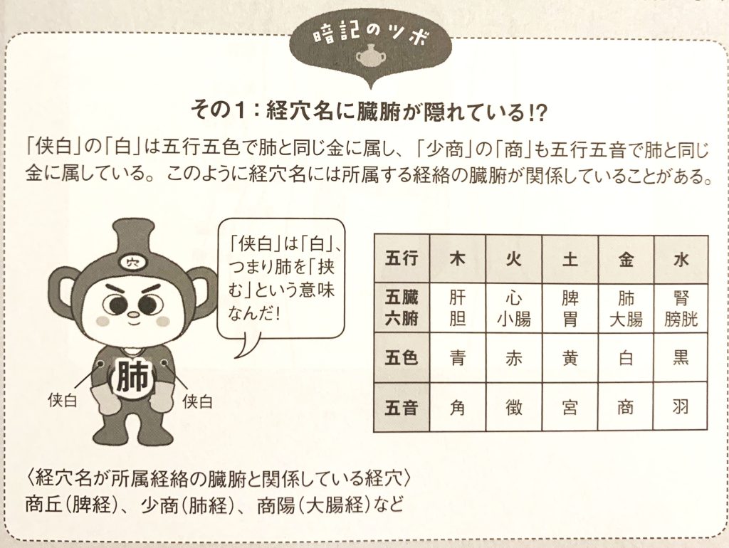 書籍紹介】取穴法をビジュアルで楽しく学ぶ ！「経穴インパクト