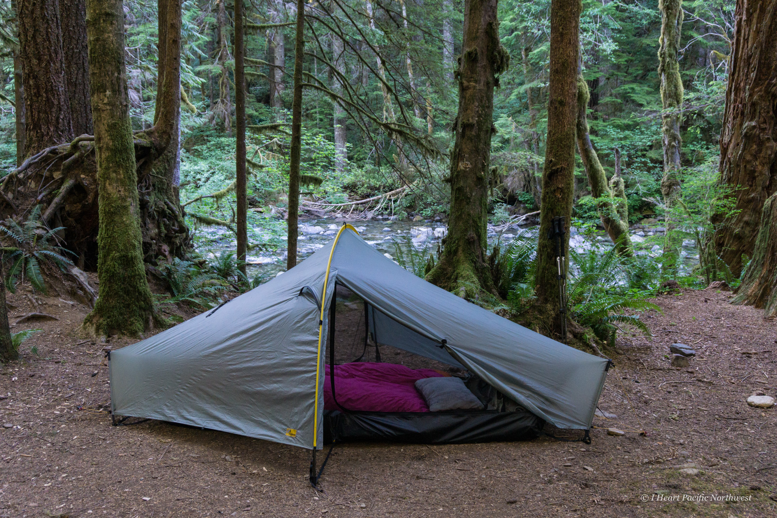 Tarptent Moment DW メッシュ 2025ver Tarptent Moment DW メッシュ