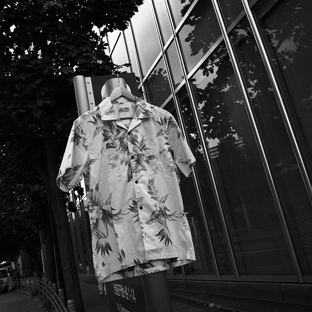 Collection – JACKSON MATISSE｜ジャクソンマティス公式サイト