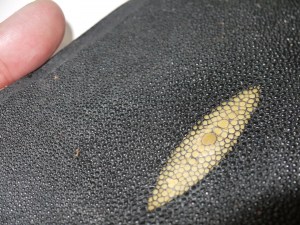 村木るいさんの「人に話したくなる革の話」／水産皮革（鯨・鰻・鮫