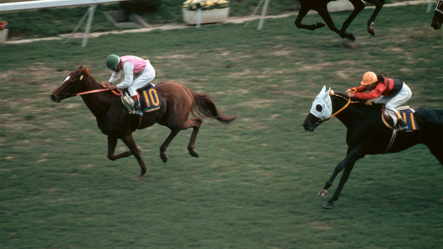 テンポイント：競馬の殿堂 JRA