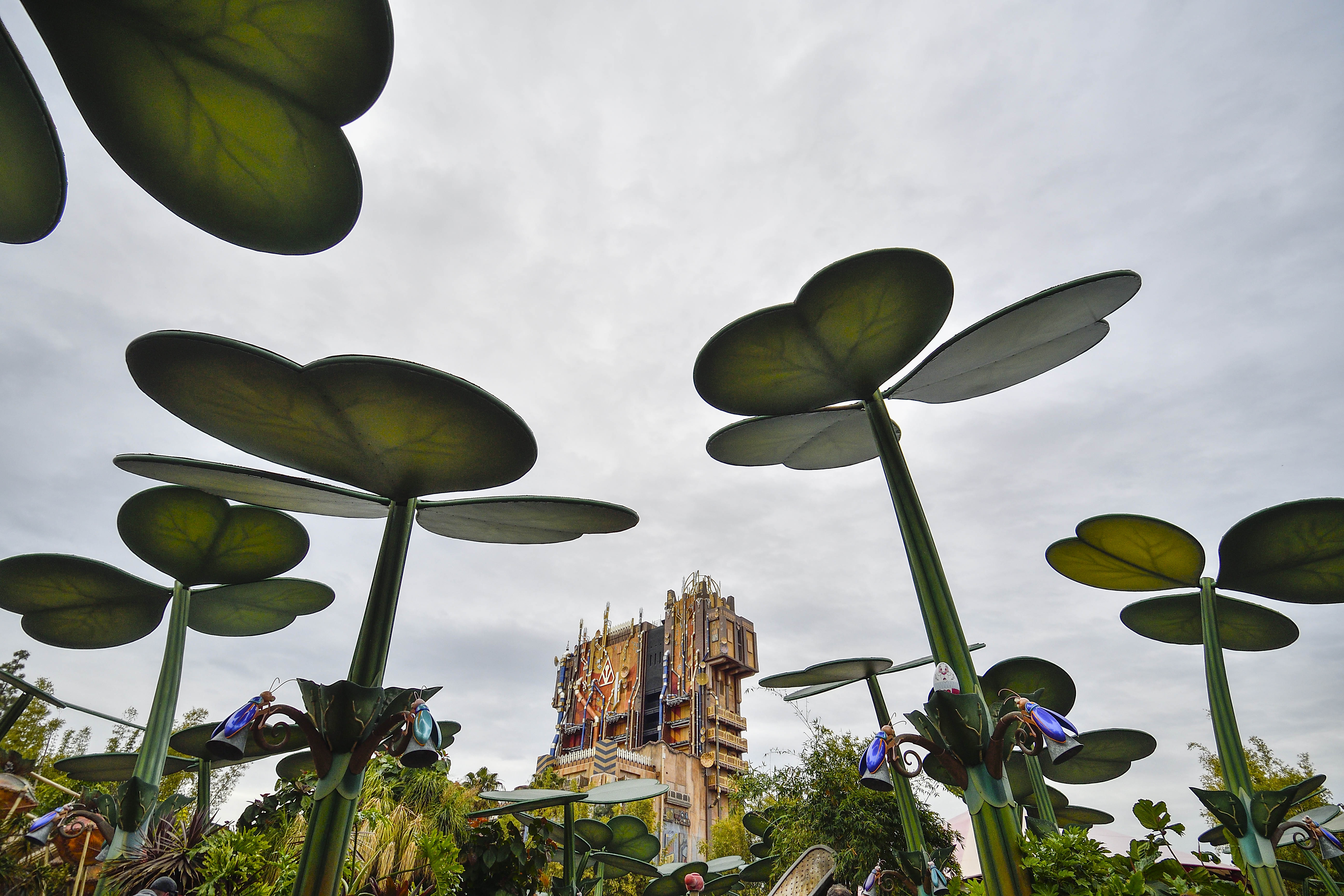 Here's when 'a bug's land' at Disney California Adventure will