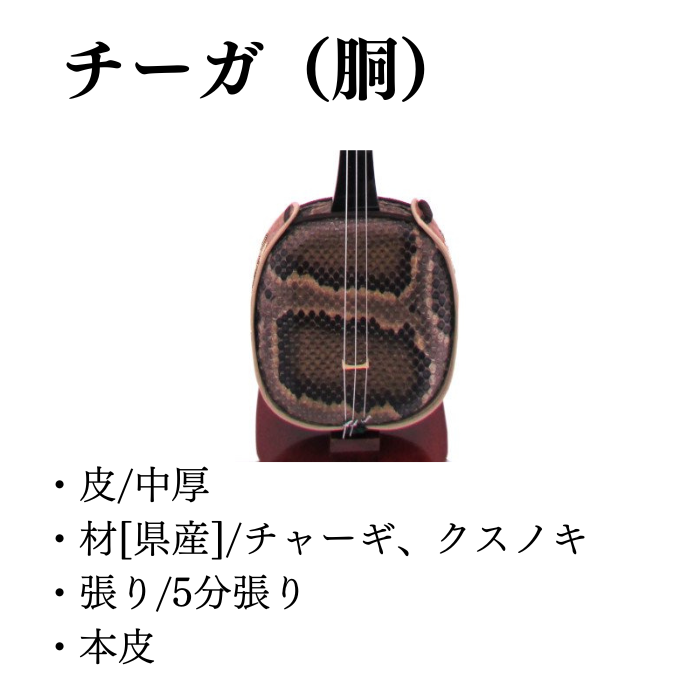 沖縄三線 アーティストモデル 知名定男 南風原型 本皮 | 沖縄宝島つうしん