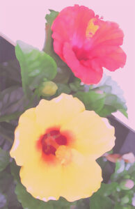 ヒロヤマガタ 黄昏のコンコルド広場 | 絵画など美術品の販売と買取