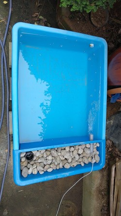 ブルコン180に専用濾過槽をセットしました。 錦鯉やらんちゅう用のFRP
