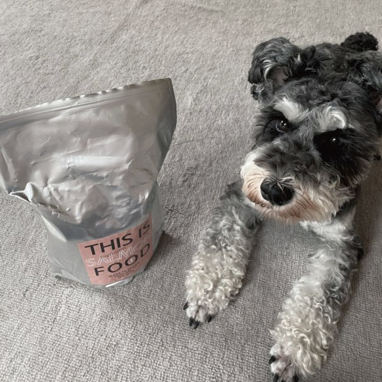 シュナウザー・テリア専用【サーモン】ドッグフード1kg袋