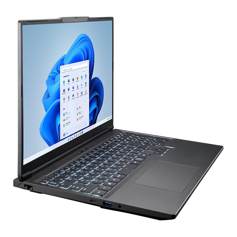 モニターに不具合】ryzen5 4600H 16gb 256GB ノートpc モニターに