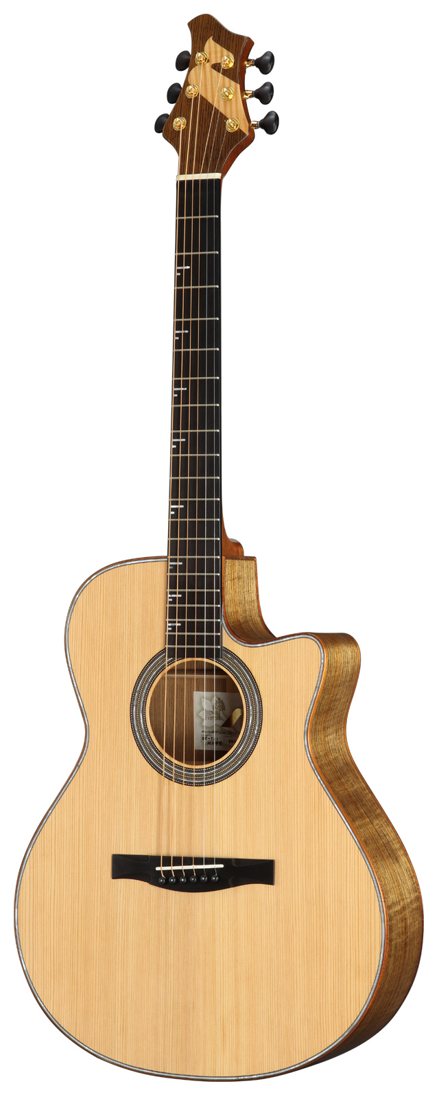 SC-741 Ji-sugi Kihada | LUTHIER MADE PREMIUM | MORRIS GUITARS