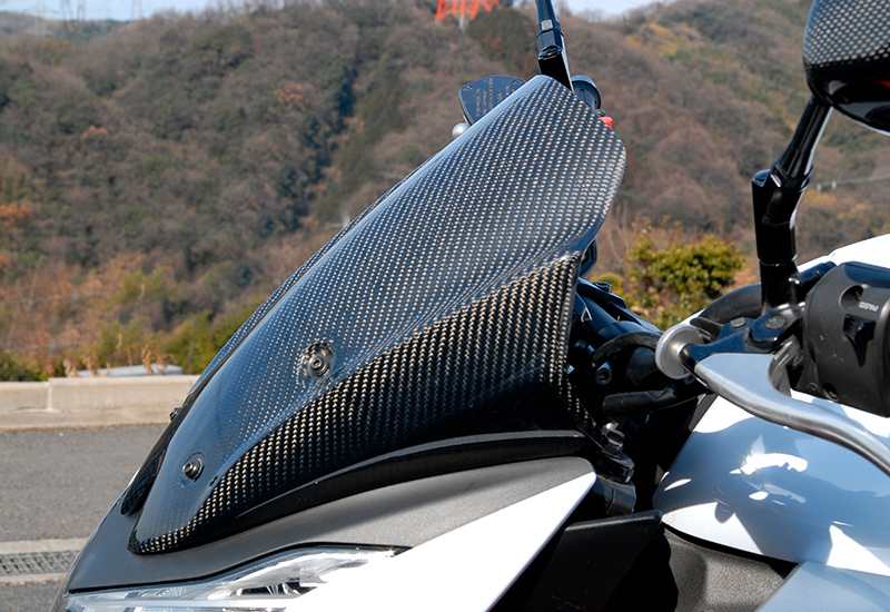 2010-2013 Z1000 - MagicalRacing