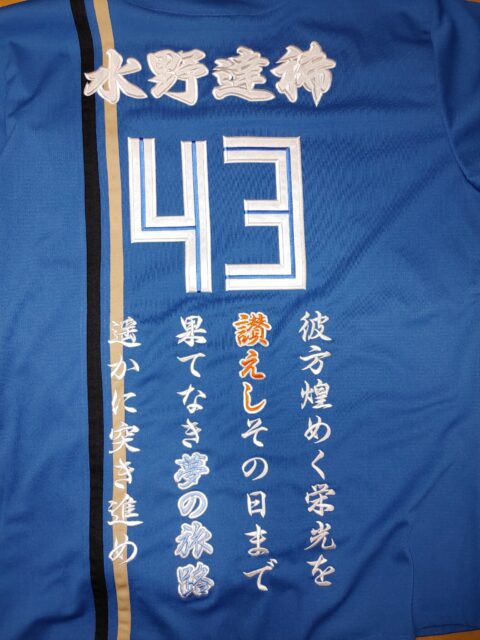 北海道日本ハムファイターズのビジターユニフォームへの背ネーム背番号