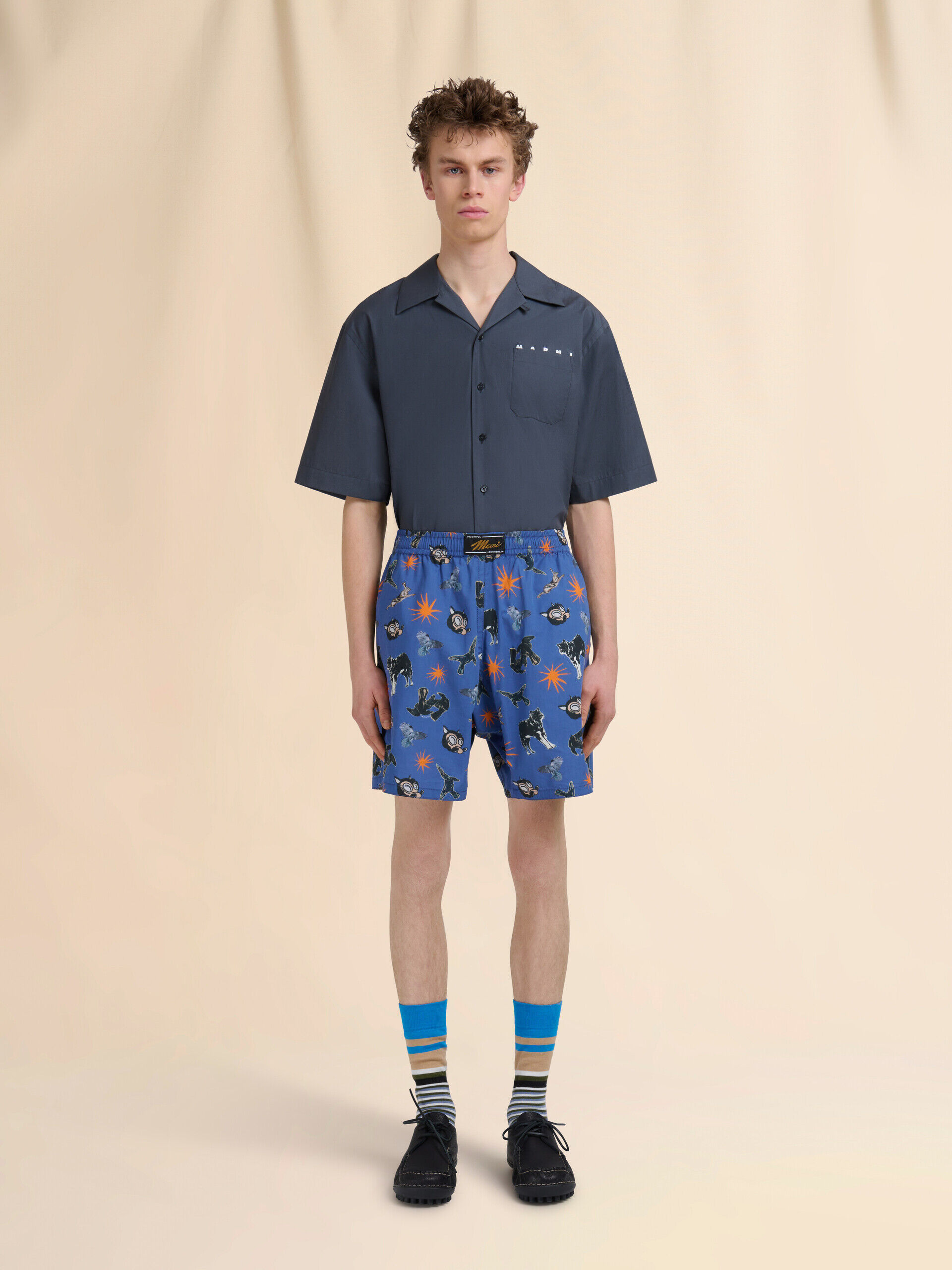 Blue poplin Bermuda shorts with Wolves, Ravens and Doves print | Marni