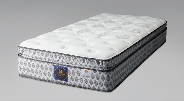 チタンコレクション ラグラスII - 宮田家具総本店