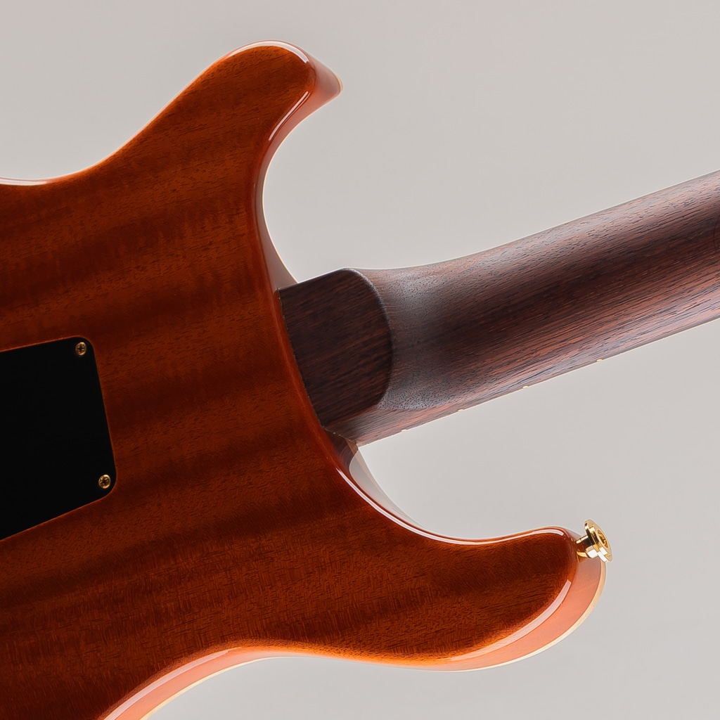 Wood Library Custom 24-08 10Top Autumn Sky 2020: エレキギター