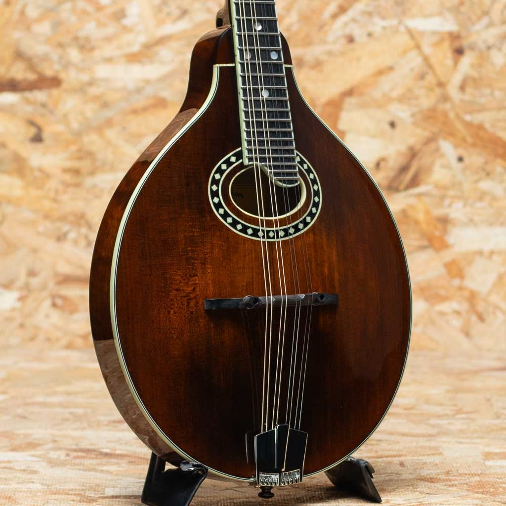 Mandolin（マンドリン）一覧 | | 三木楽器公式通販サイト