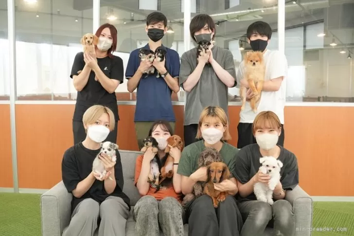 ひろり様ご予約品】トイプードル（レッド）立ちポーズ ひろり様ご予約