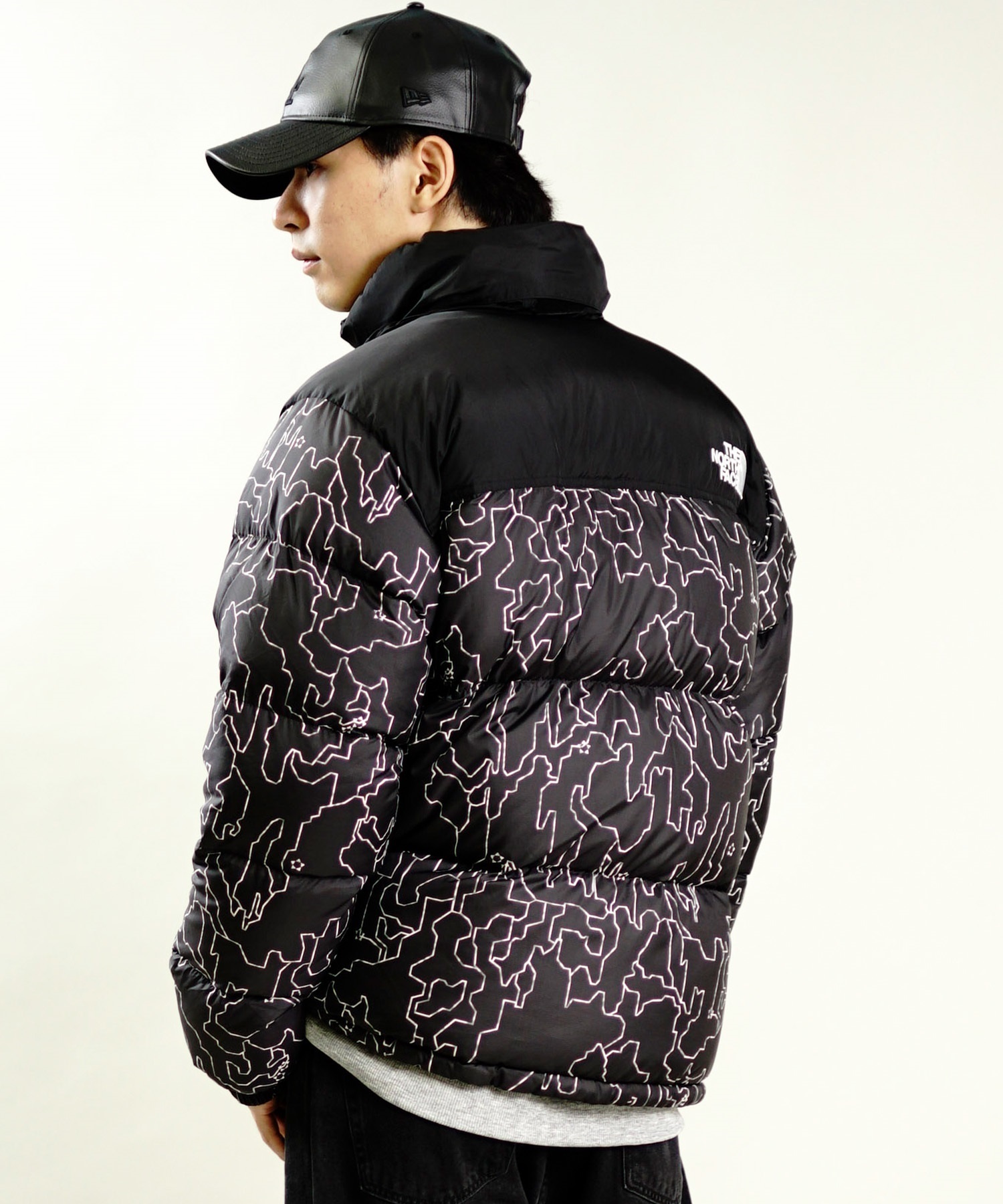 THE NORTH FACE ザ・ノース・フェイス メンズ ジャケット Novelty