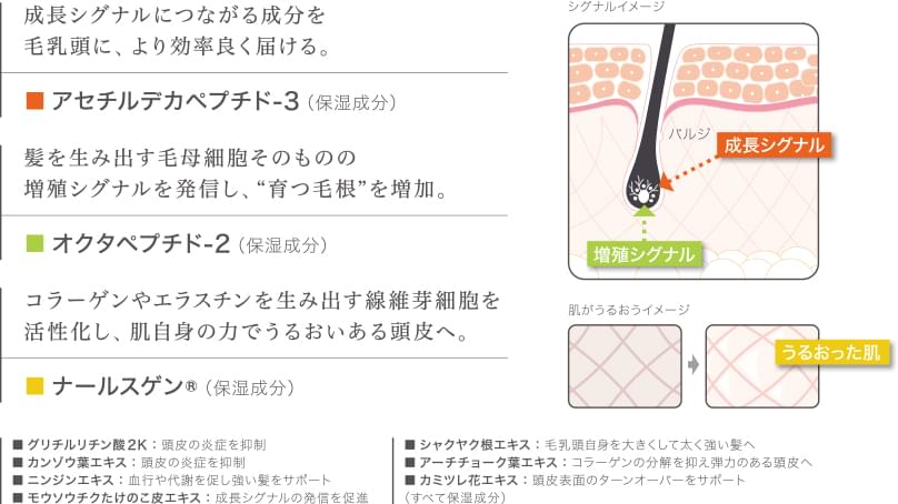 Dr. SCALP | no3（ナンバースリー NUMBER THREE）