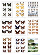 月刊むし大図鑑シリーズ 日本の迷蝶大図鑑、世界のクワガタムシ大図鑑