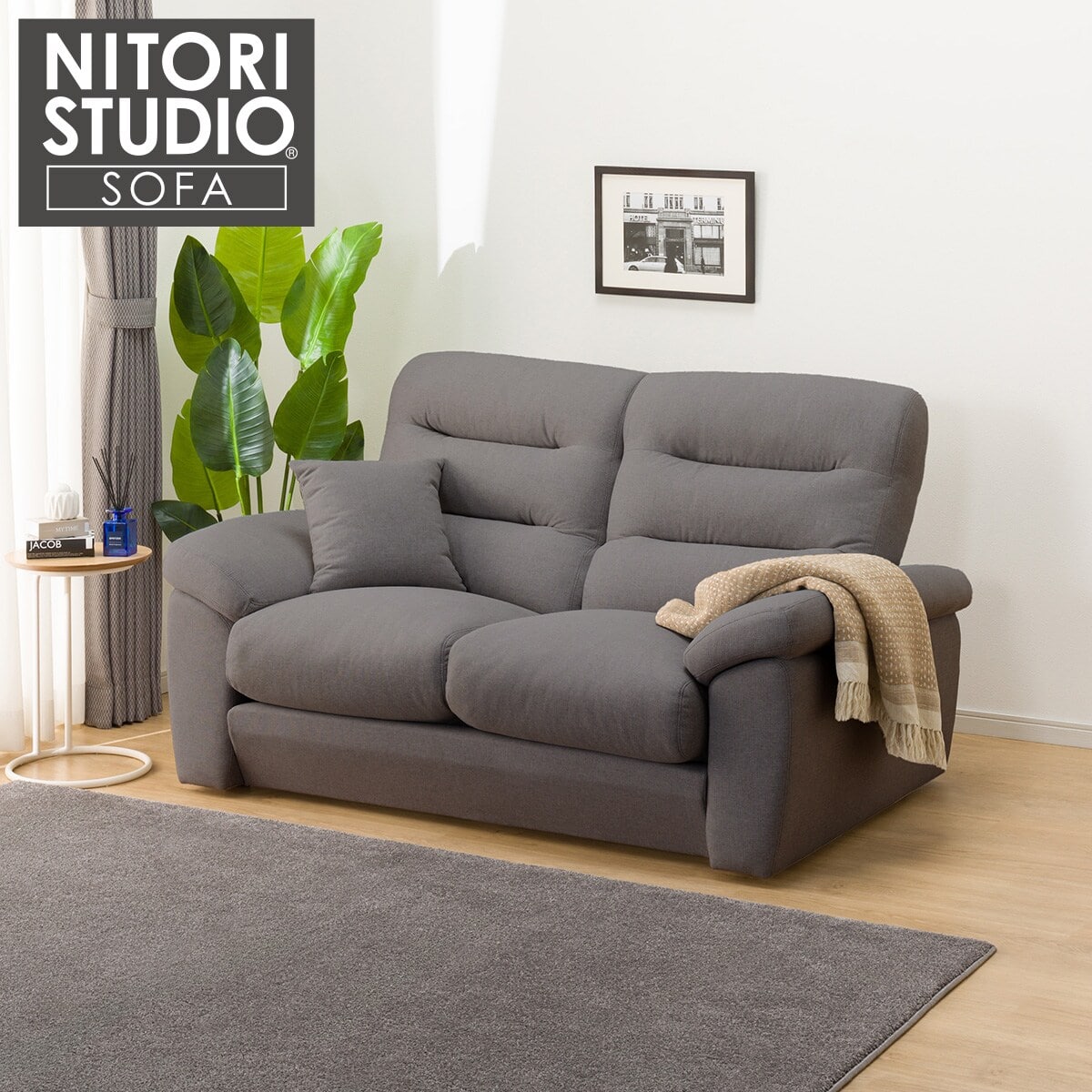 2人掛けソファ 布張りタイプ (Nポケット BS12 S-LO AQ-MGY) | ニトリ