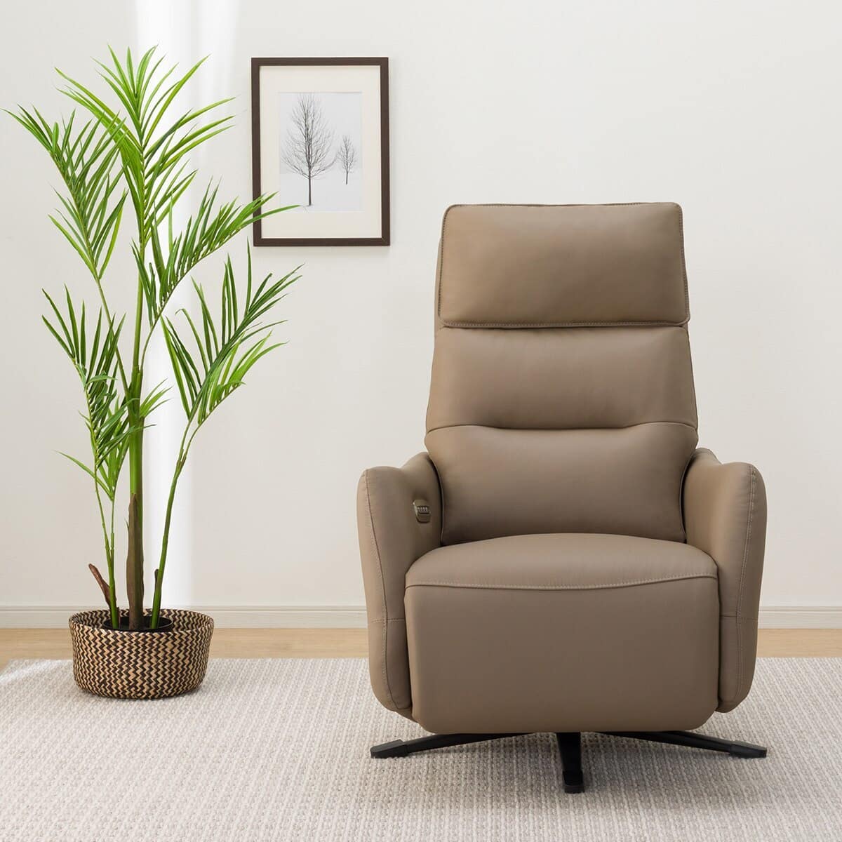 電動リクライニングパーソナルチェア 本革(一部合成皮革)タイプ (LE01