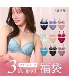 I80 その他のブラショーツセット 通販【ニッセン公式】