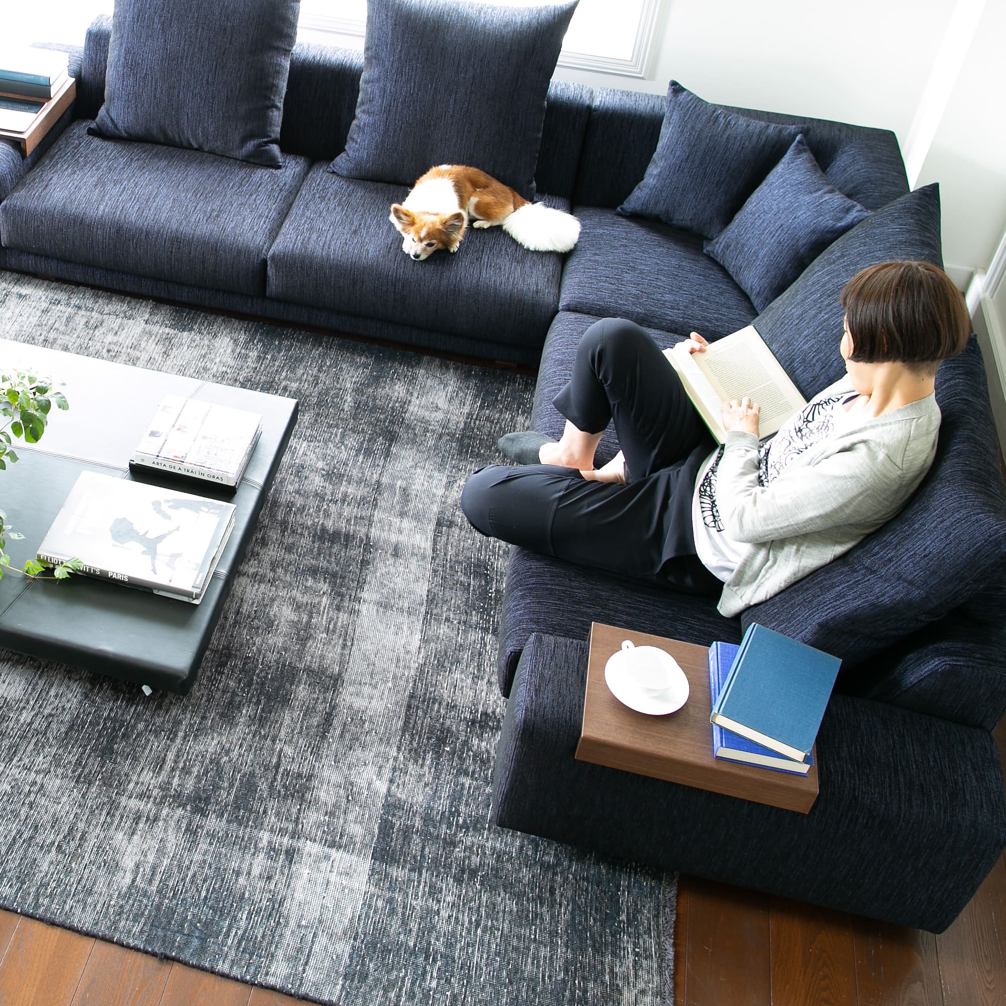 Decibel Professional 3人掛けコーナーソファセット」 製品詳細ページ