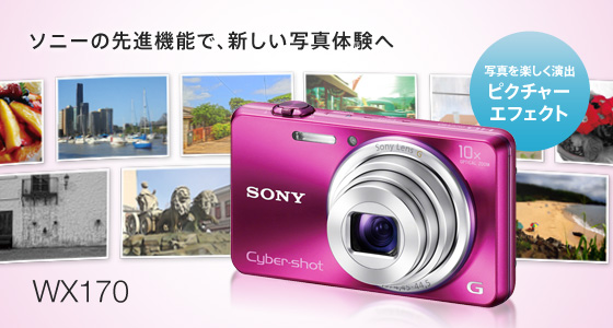 DSC-WX170 特長 : 撮りたい写真がかんたんに撮れる | デジタルスチル