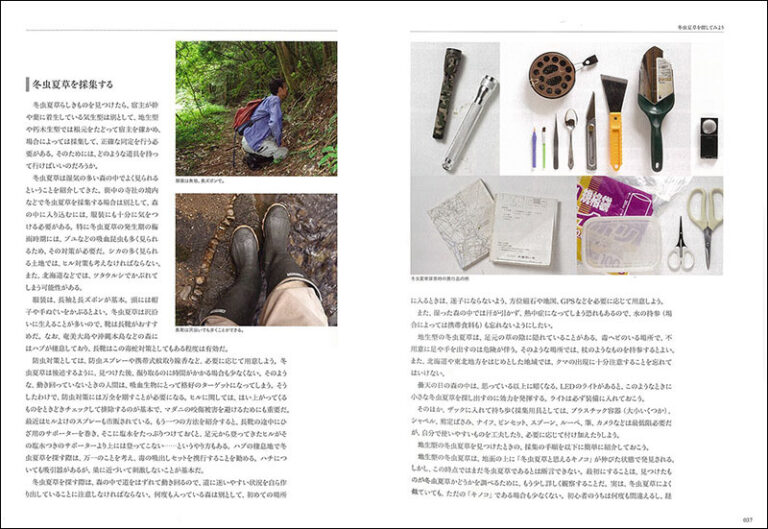 冬虫夏草生態図鑑 | 株式会社誠文堂新光社