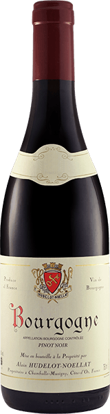 Alain Hudelot-Noellat Bourgogne Rouge 2020 750ml - Buy online at