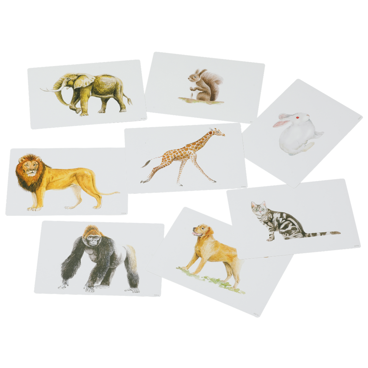 かな絵ちゃん英語セット【フラッシュカード】 | 七田式公式通販